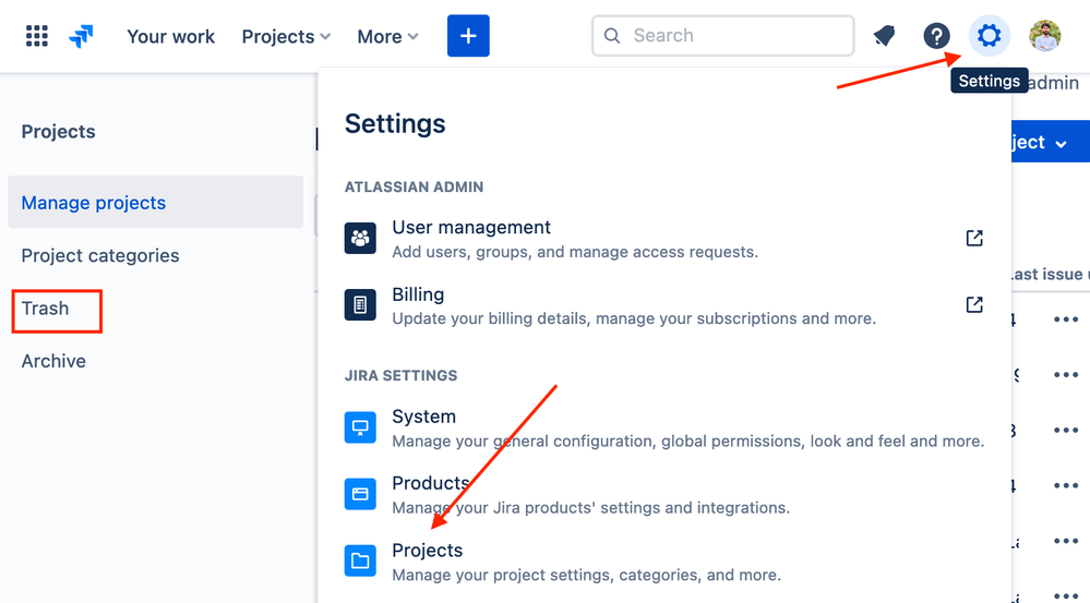 How to access Trashed projects