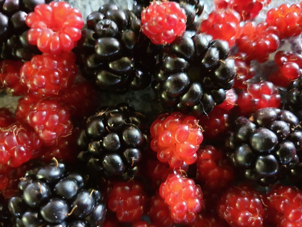 20210111_173748 - berries.jpg