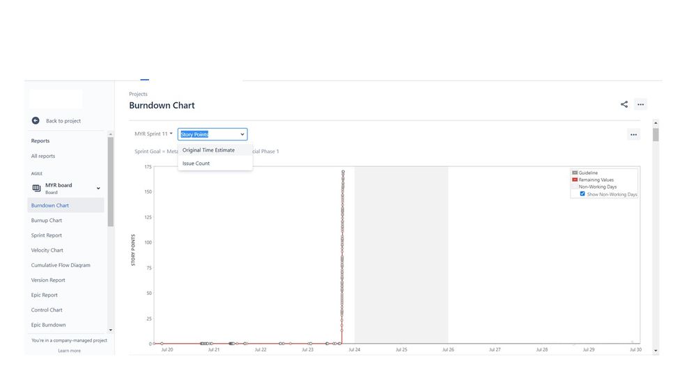 Burndown chart issue.jpg