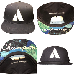 ATL Champion Hat - Images (1).png