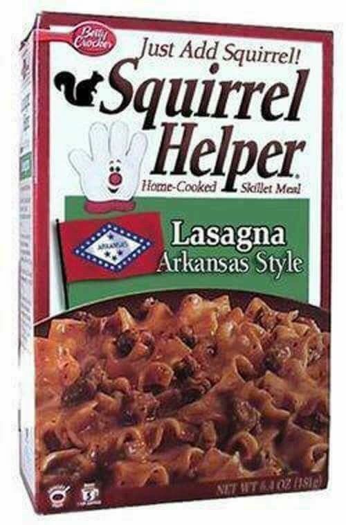 Squirrel Lasagna.jpg