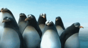 penguins-teamwork.gif