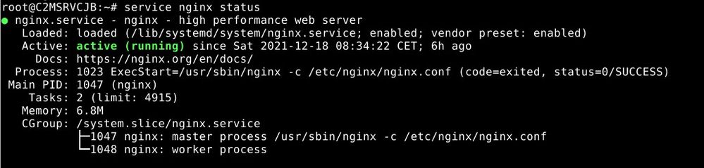 nginx_service.jpg