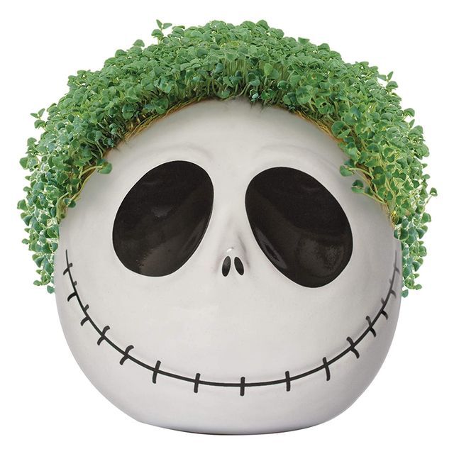 disney-the-nightmare-before-christmas-jack-skellington-chia-pet-1627323641.jpeg