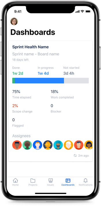 iOS Dashboards-Sprint health.png