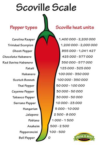Scoville-Pepper-Heat-Scale-Vec-1.jpg