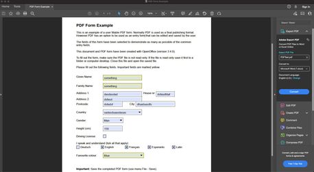 PDF Example on Acrobat Reader.jpg