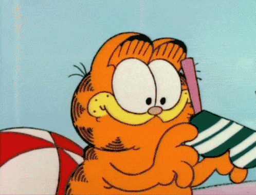 Garfield Summer.gif