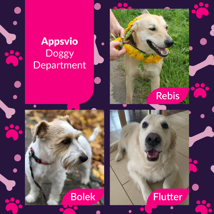 appsvio-doggy-department.png