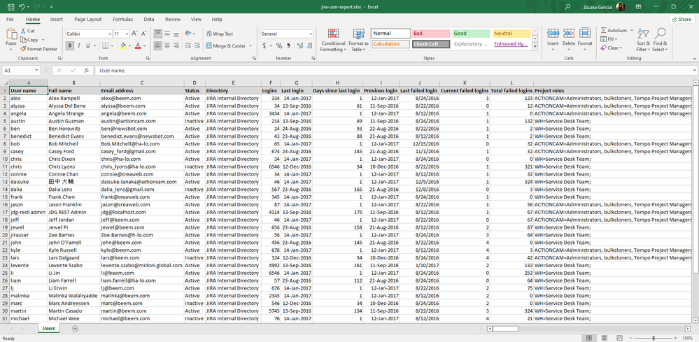 excel-user-export.png