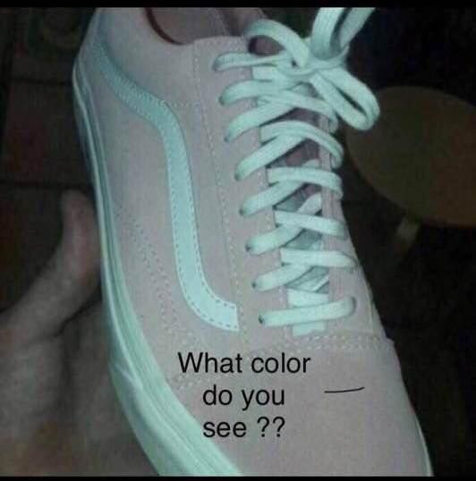 Shoe.jpg