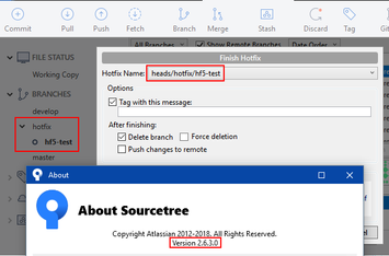 2018-06-06 10_03_14-Sourcetree.png