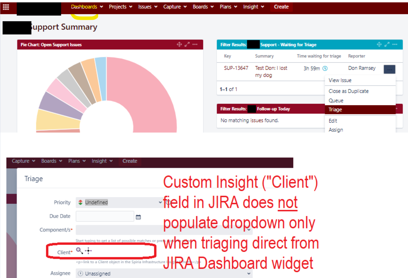 Jira Dashbord Insight Issue