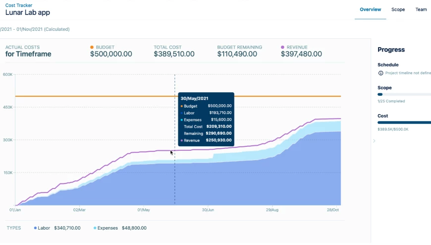 AnyConv.com__Cost Tracker Tempo.png