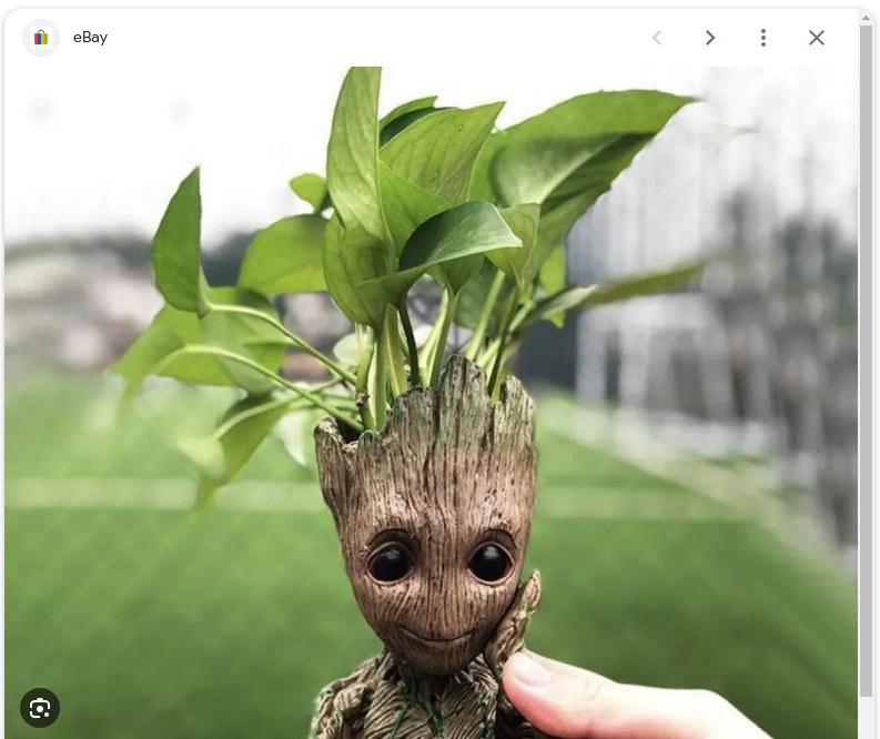 baby_groot.png