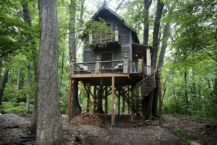 TreeHouse.png