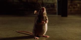 the-green-mile-mr-jingles-mouse-2574535419.jpg