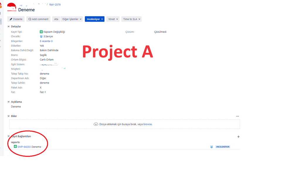 Project A.png