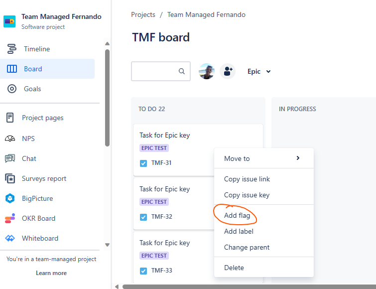 How do I flag an issue in a software team managed