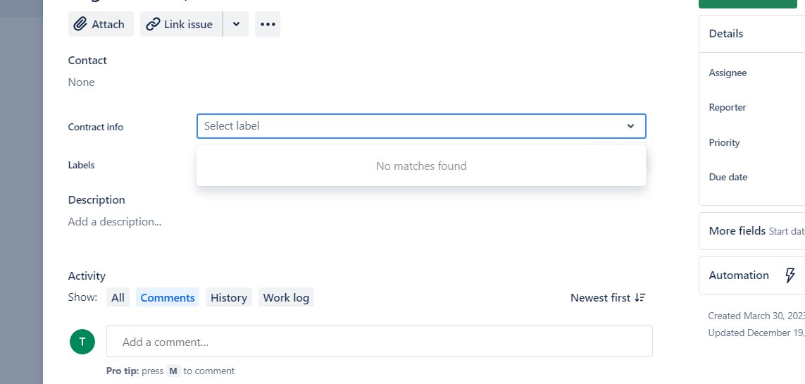 Default labels in Issue
