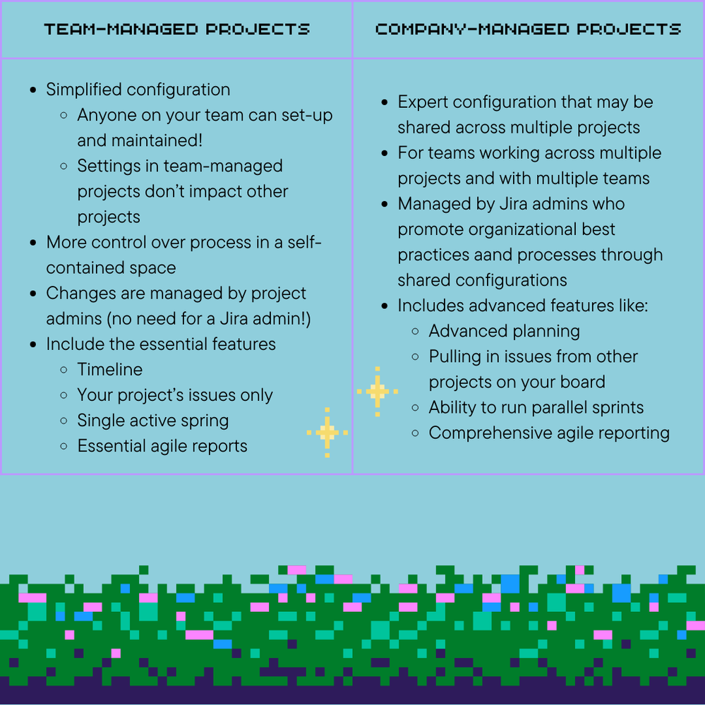 Team vs company managed projects.png