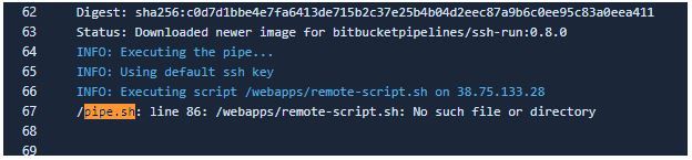 pipeline-error-to-run-remote-script.JPG