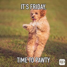 its-friday-time-to-pawty.jpg