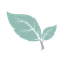 myherb favicon transparent.png