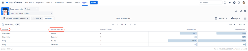 DBS Report with Group By Assignee.png