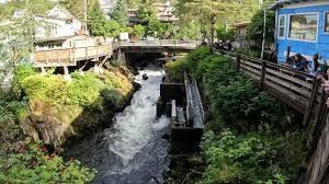 Ketchikan Salmon Run at Creek Street.jpg