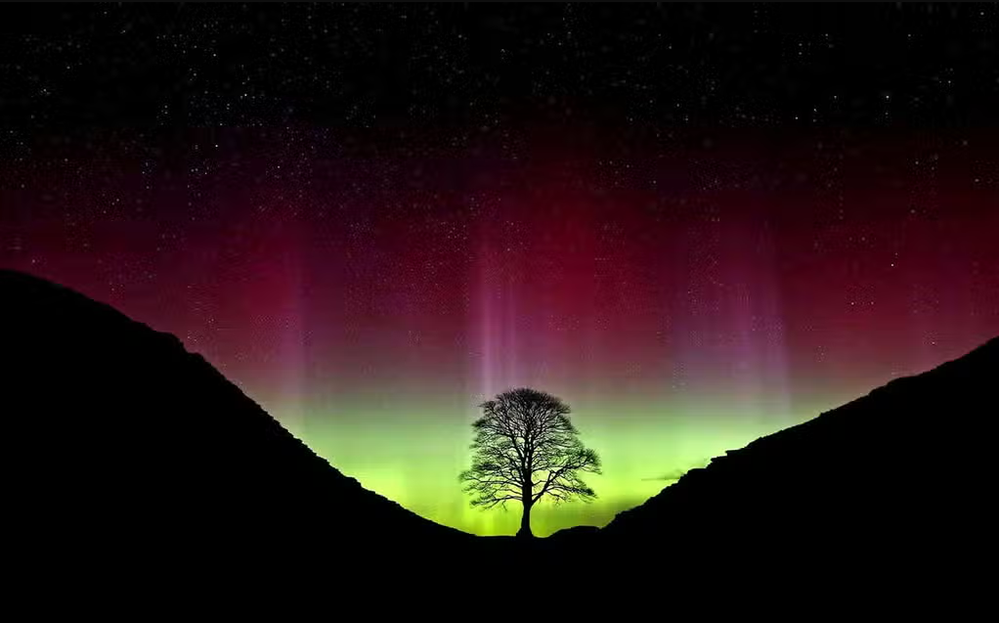 Sycamore Gap and Northern Lights.png