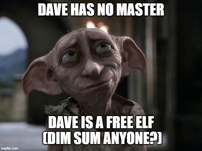 Dave as Dobby.jpeg