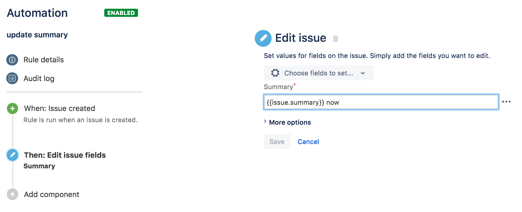 Solved How to update the Summary field by appending text
