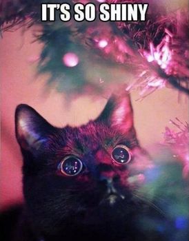 Its-so-shiny---christmas--cat-meme.jpg