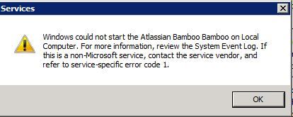 Bamboo Service Error Message.JPG