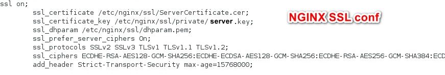 NGINX SSL conf.jpg