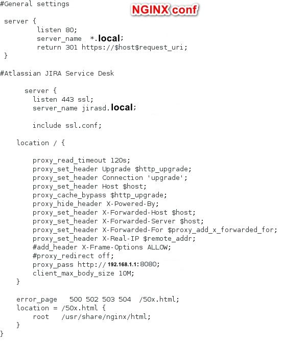 NGINX conf.jpg