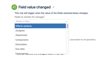 Custom field value in customer notifications