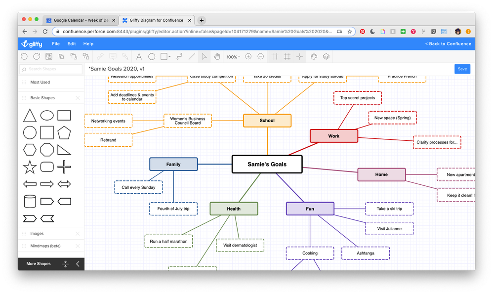 SamieGoalsMindMap_04.png