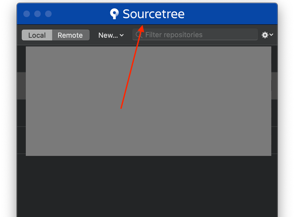 Sourcetree logo and title change when move to exte...