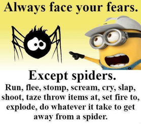 always-face-your-fears-except-spiders-run-flee-stomp-scream-23672902.png